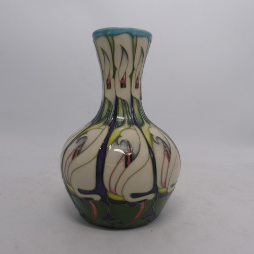Lot 182       