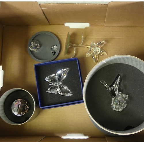 203 - Swarovski Crystal butterfly, oyster with pearl type jewel, Lady bird, display dome, rose 7478 and ot... 