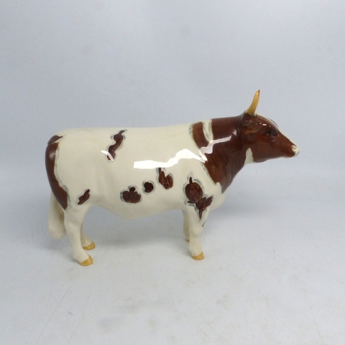 Lot 121       