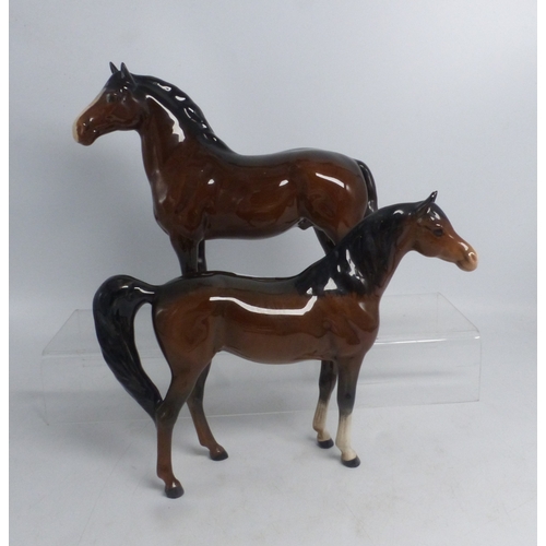 Lot 104       
