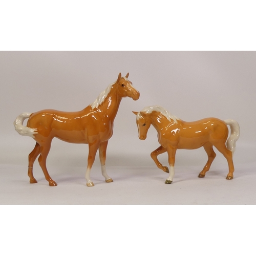 Lot 97        