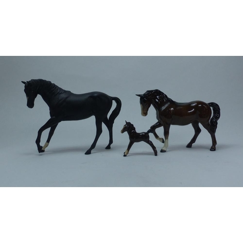 Lot 111       
