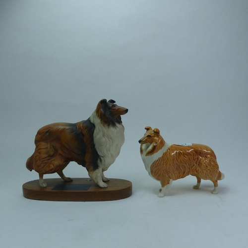 Lot 137       
