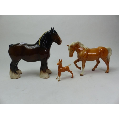 Lot 105       