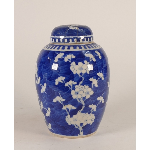 397 - 18th Century Chinese porcelain ginger jar decorated with prunus, probably Kangxi period 1662-1722, h... 