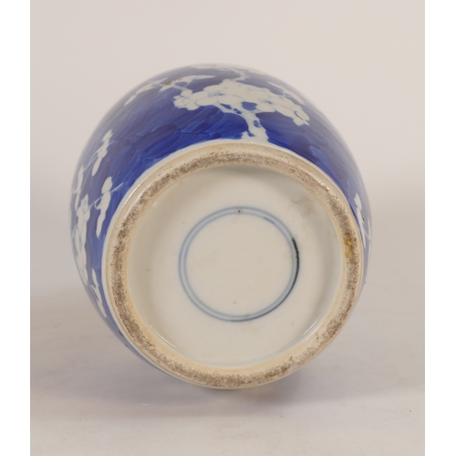 397 - 18th Century Chinese porcelain ginger jar decorated with prunus, probably Kangxi period 1662-1722, h... 