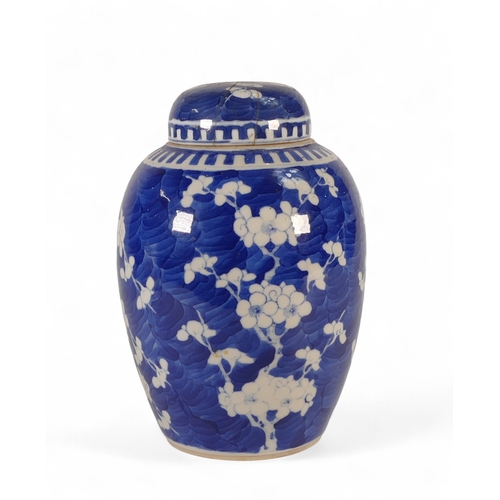 397 - 18th Century Chinese porcelain ginger jar decorated with prunus, probably Kangxi period 1662-1722, h... 
