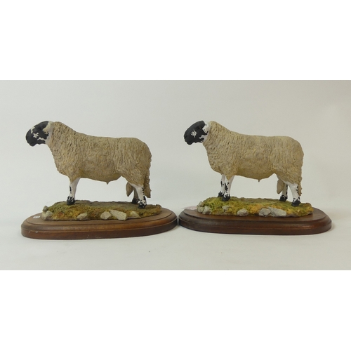 196 - Castle Sculptures Derbyshire Gritstone Rams, by Jean Fowler, one limited edition no.27 of 250. (2)