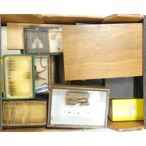 337 - A large collection of microscopic slides to include Angiosperme, Animal Histology and Haematoxylin. ... 