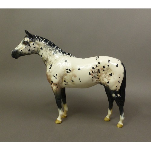 117 - Beswick, Appaloosa horse, 1772.