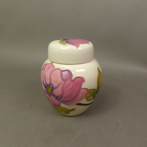 91 - Moorcroft magnolia design on cream ground ginger jar. (H: 11cm)