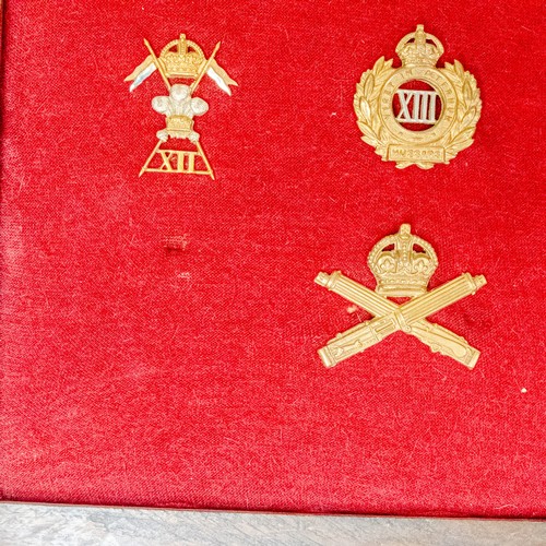 A collection of assorted British Army regimental cap badges, displayed ...