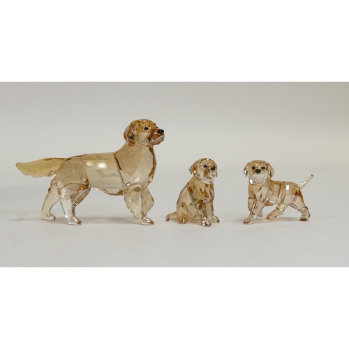 141 - Swarovski Crystal Family of Golden Retrievers to include:- Mother (1142823) two Puppies (1142824)(11... 