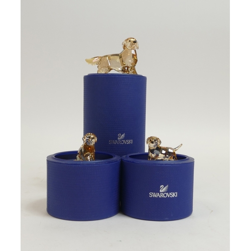 141 - Swarovski Crystal Family of Golden Retrievers to include:- Mother (1142823) two Puppies (1142824)(11... 