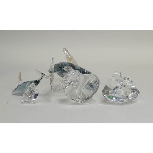 148 - Swarovski Paikea Humpbacked Whale with Wave Plaque (1095228) together with Young humpbacked Whale (1... 