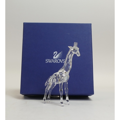 152 - Swarovski African Wildlife Baby Giraffe (236717) retired 2007 designed by Michael Stamey presented i... 