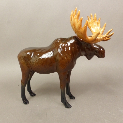 Lot 14        