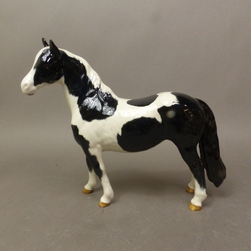 Lot 24        