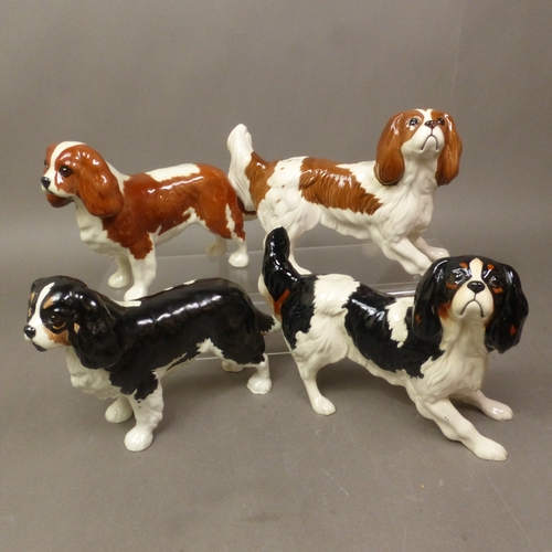 Lot 46        