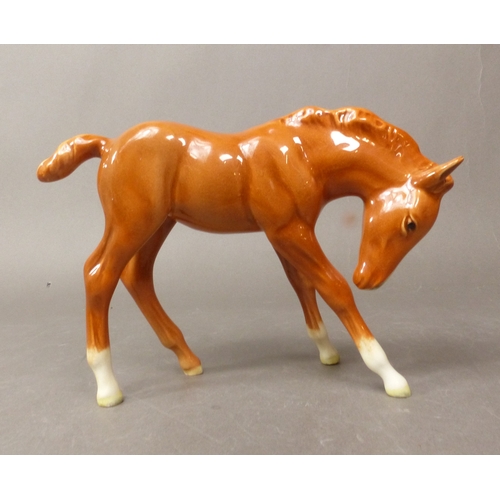 Lot 11        