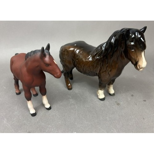 Lot 51        