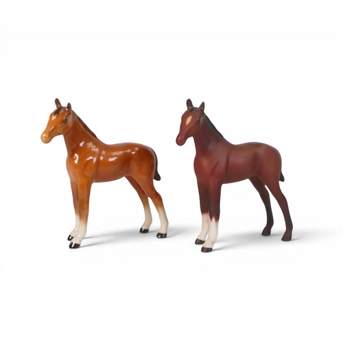Lot 12        