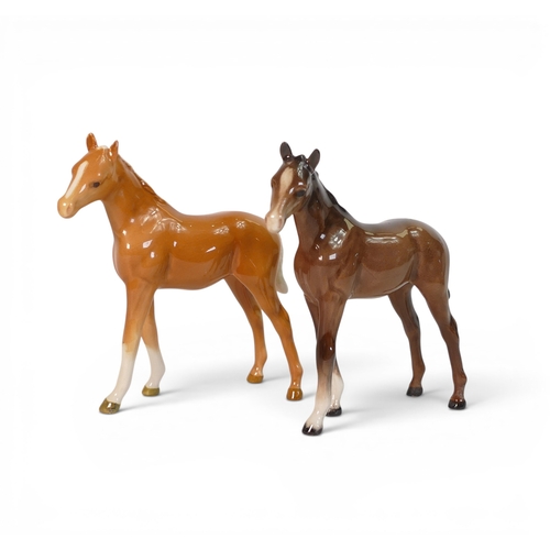 Lot 6         