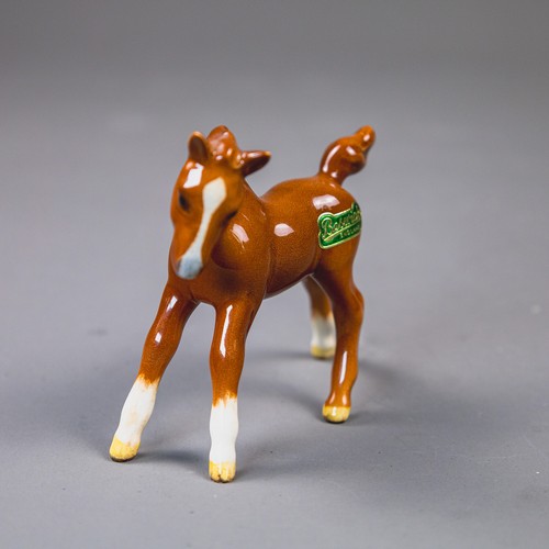 Rare Beswick Gambling Foal in Chestnut with blue nose detail & original ...