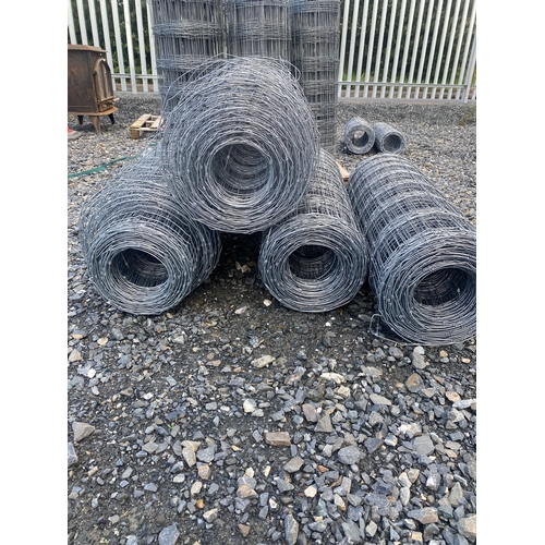 Lot 55        