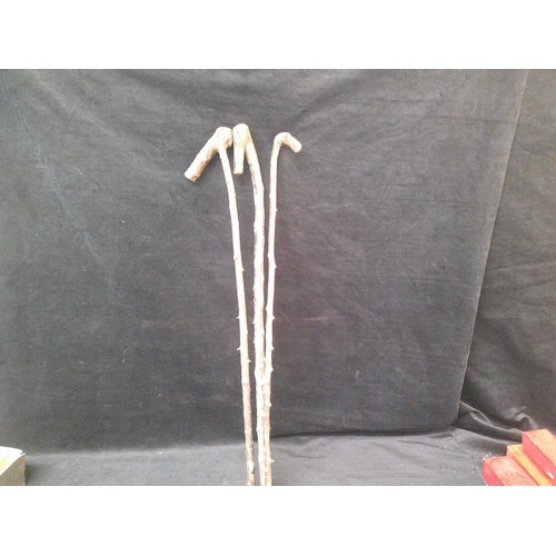 69 - Three blackthorn sticks