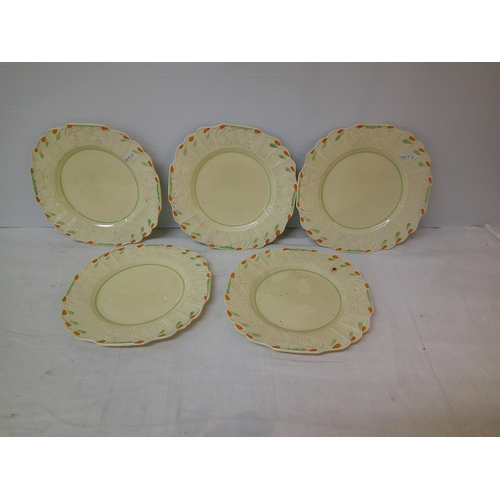 62 - Set of five Myott hand painted plates  each 23cmD