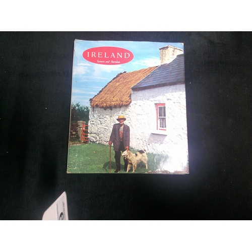 Lot 19        