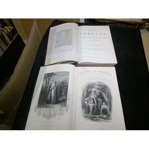 Lot 54        