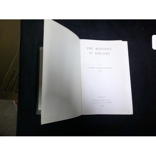 Lot 60        