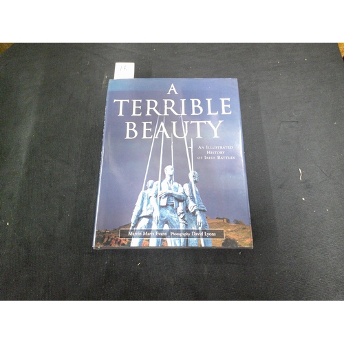 78 - A terrible beauty, an illustrated history of Irish battles by Martin Marix Evans