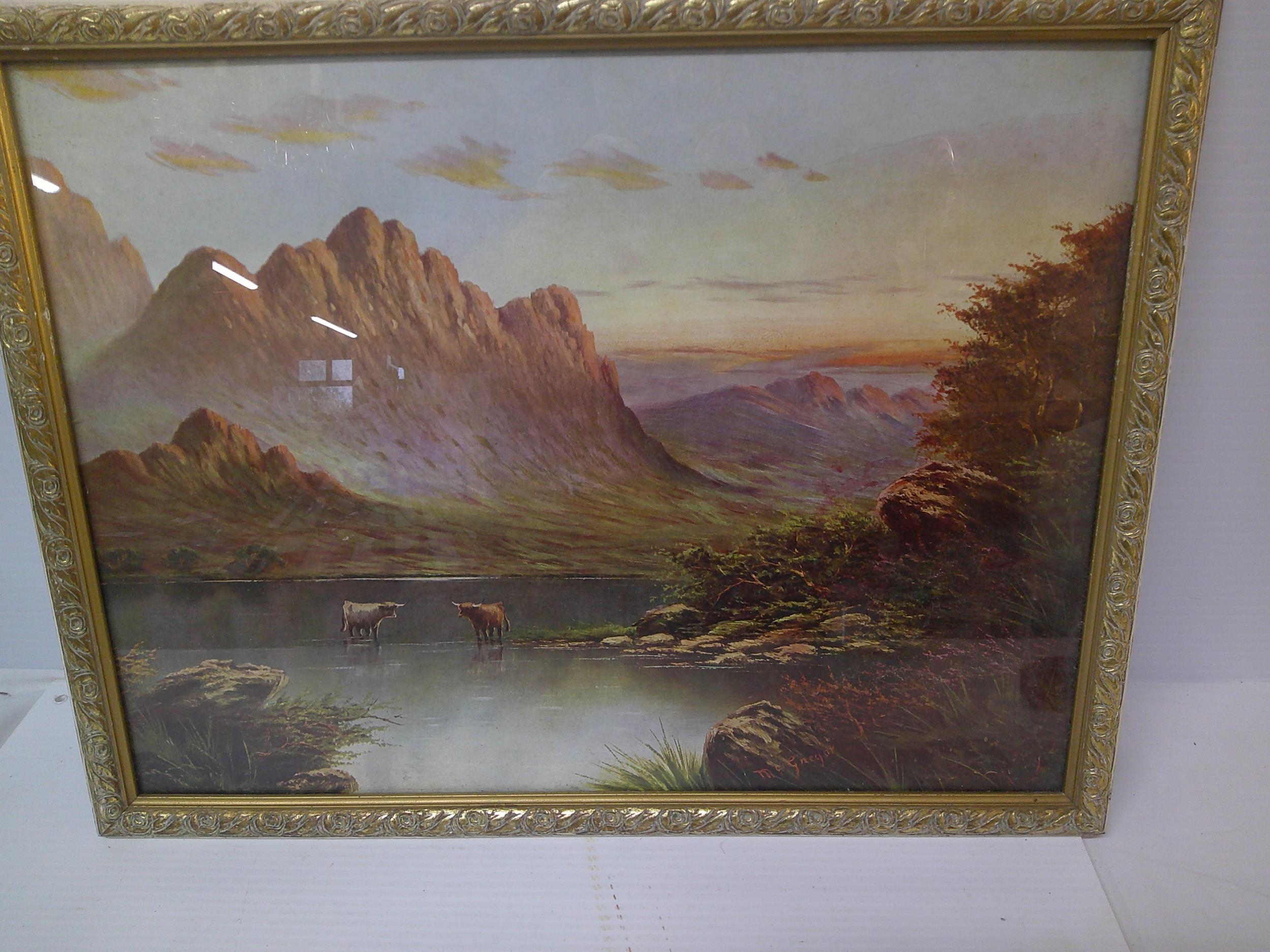 A framed print of highland cattle in a Scottish landscape 54.5cm x 41