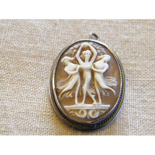 209 - A cameo brooch/pendant