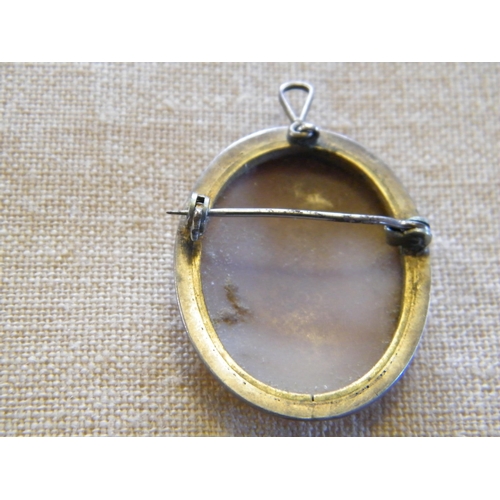 209 - A cameo brooch/pendant