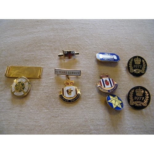 213 - A small lot of pin badges