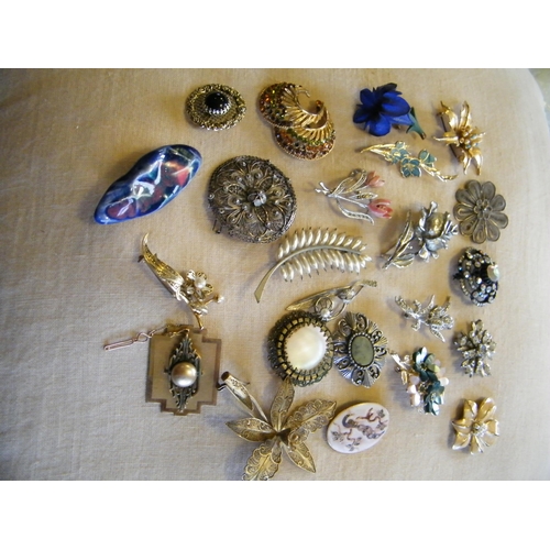 235 - 25 assorted brooches