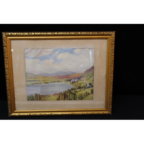Lot 78        