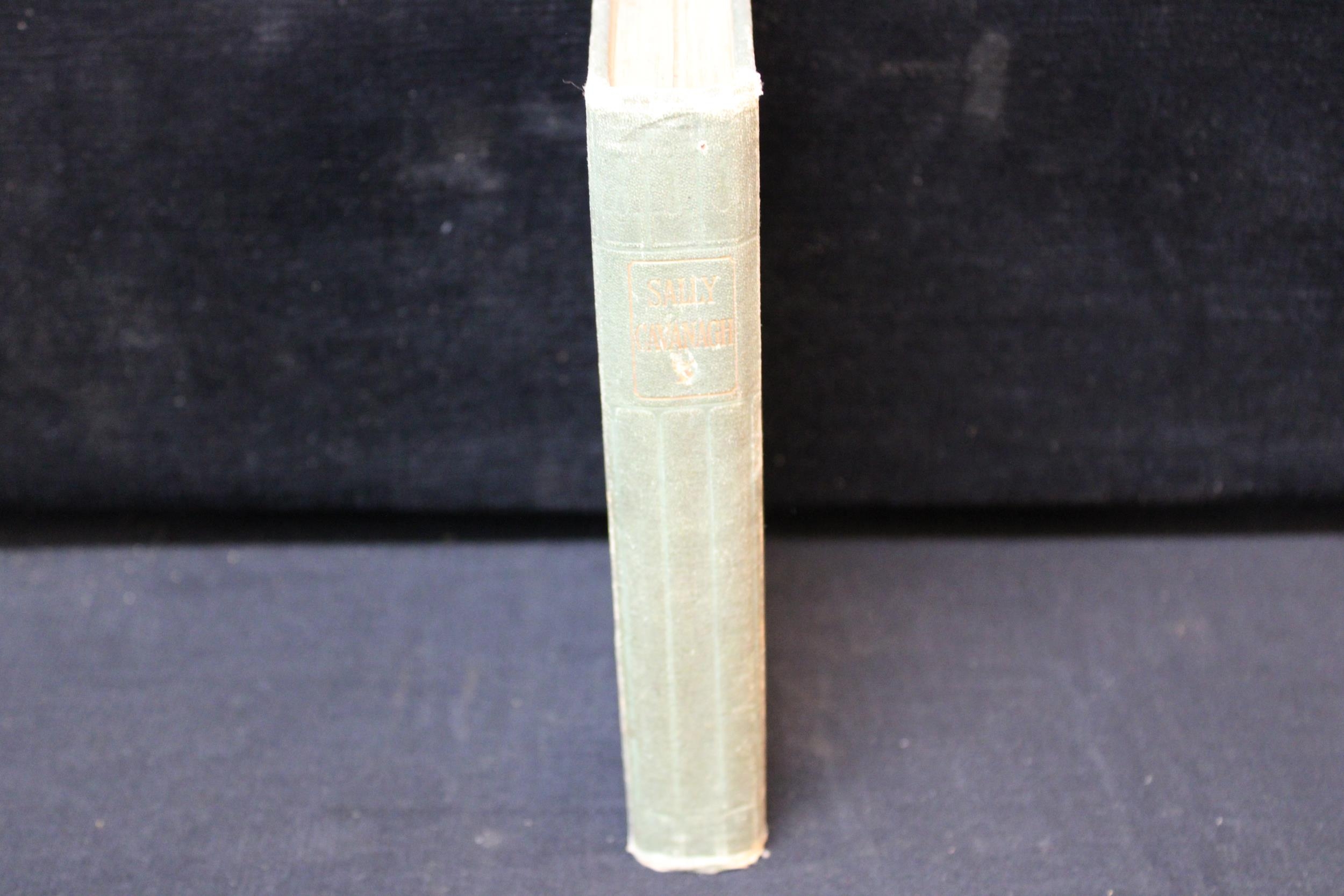 Sally Cavanagh or the Untenanted Graves A Tale of Tipperary by Charles ...