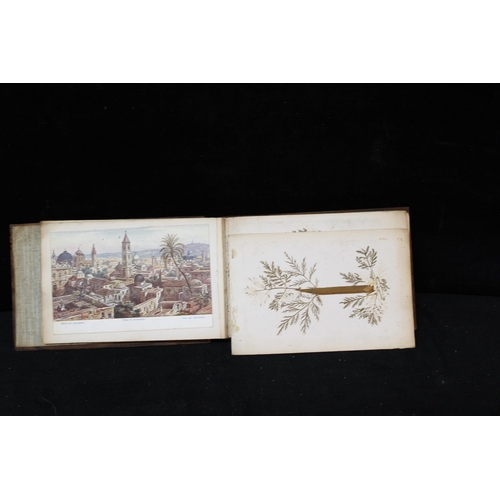 347 - Jerusalem flowers from the Holy Land in olive wood cover