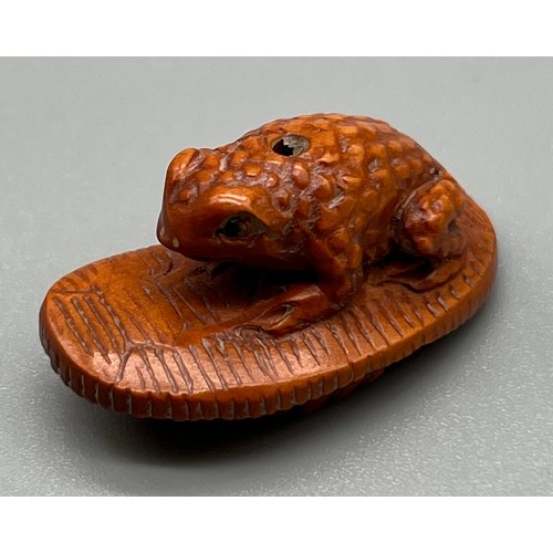 85 - Very Small Japanese hand carved netsuke; Toad sat upon a sandal. Fitted with black bead eyes. Unsign... 