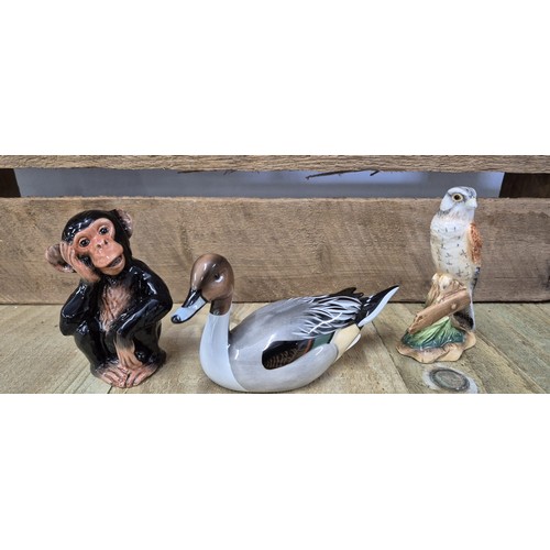 392 - Three Beswick animal figures with boxes; Kestrel, Pintail & Baby Chimp.