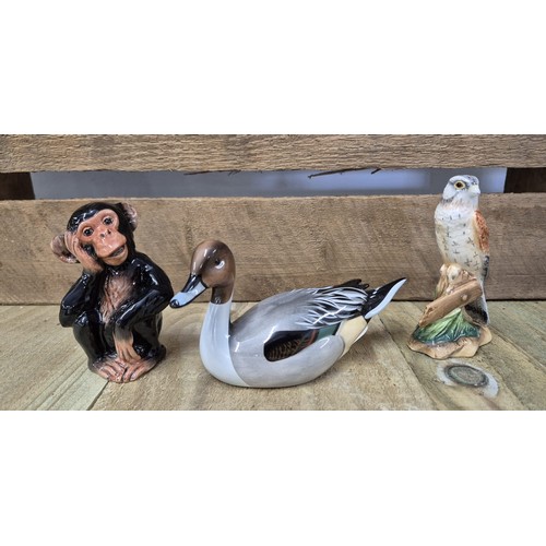 392 - Three Beswick animal figures with boxes; Kestrel, Pintail & Baby Chimp.