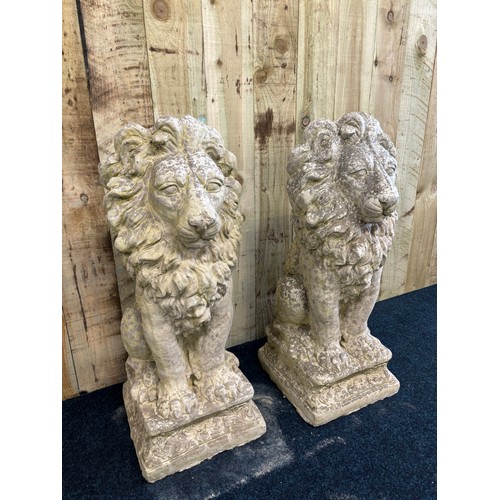 339 - A Large and heavy pair of concrete garden lion sculptures. [79cm high]