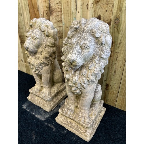 339 - A Large and heavy pair of concrete garden lion sculptures. [79cm high]