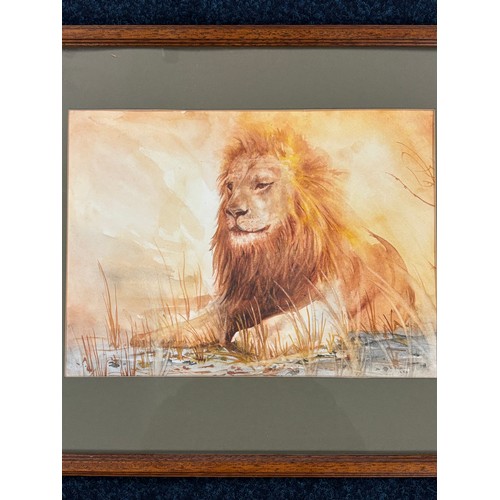 270 - D. Allison 
Watercolour depicting Lion at rest, Signed and dated 1990. [Frame- 44x54cm]