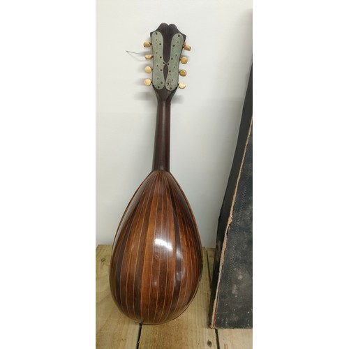 19th century F. DE Mureda Napoli Mandolin with an original box